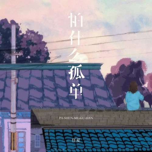 怕什么孤单-任夏