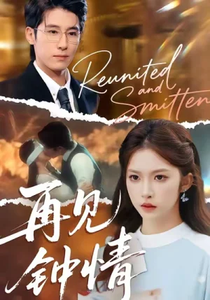 再見鐘情（100集）林楓松＆吳毅非