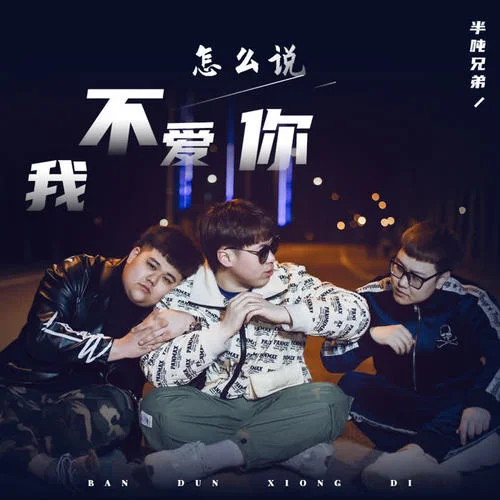 怎么说我不爱你-半吨兄弟