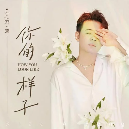 你的样子-小阿枫