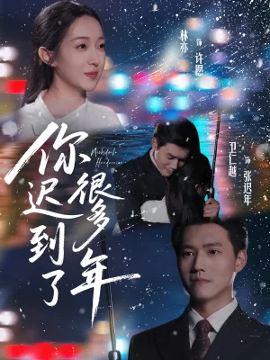 你迟到了很多年（30集）卫仁越＆林亦