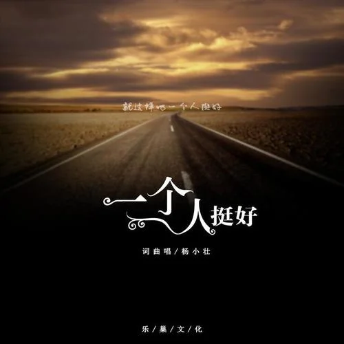 一个人挺好-杨小壮