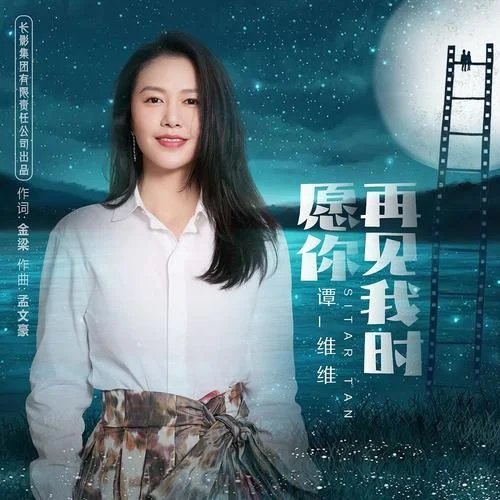 愿你再见我时-谭维维