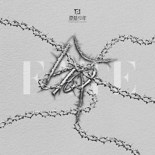 命 (FATE)-TOP登陆少年组合