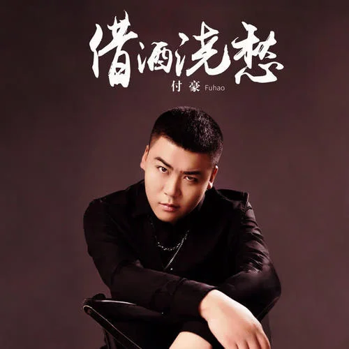 借酒浇愁-付豪