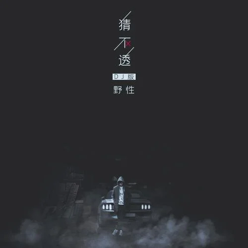 猜不透(DJ版)-野性