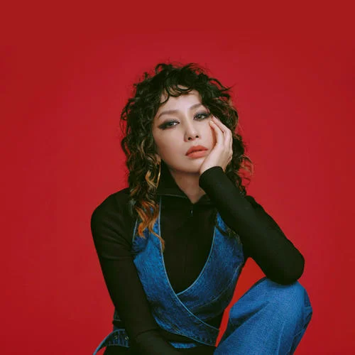 曾经我也想过一了百了-中島美嘉