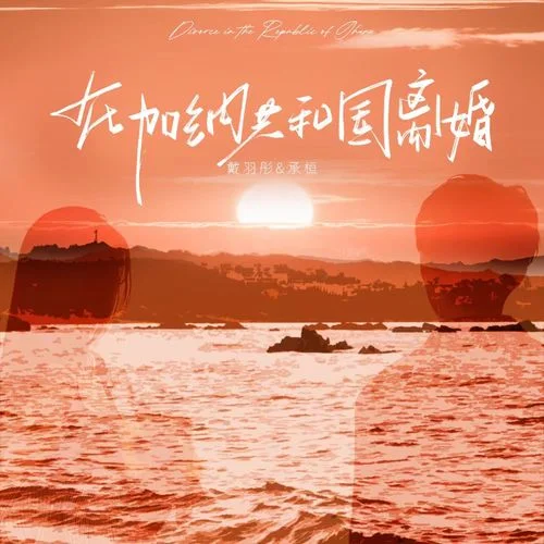 在加纳共和国离婚-戴羽彤&承桓