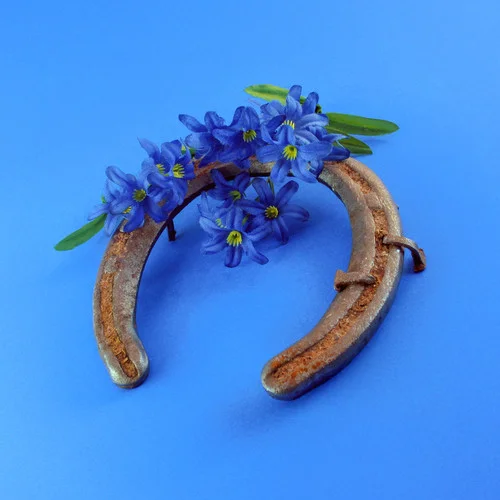 下等马 (洛天依)-洛天依