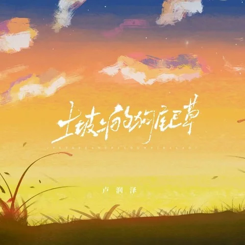 土坡上的狗尾草（DJ阿本版）-卢润泽