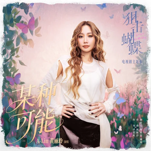 某种可能-A-Lin