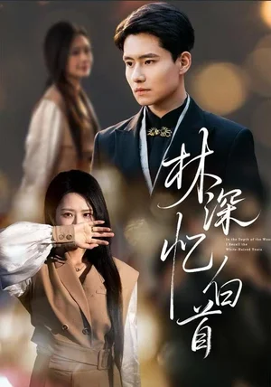 林深忆白首(60集)张佳艺&翟兆星 林深忆白首(60集)张佳艺&翟兆星