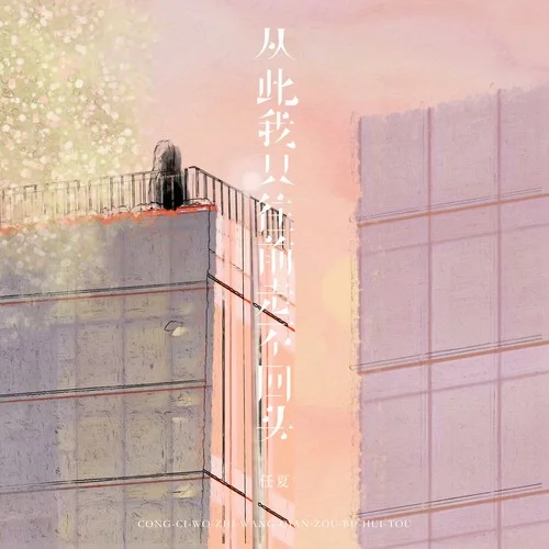 从此我只往前走不回头-任夏