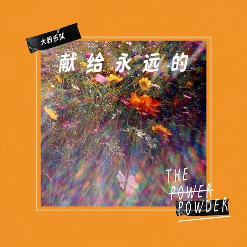 献给永远的-大粉乐队