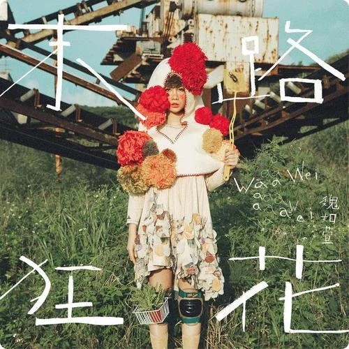 你啊你啊-魏如萱