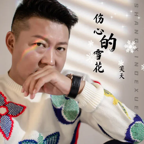 伤心的雪花-笑天