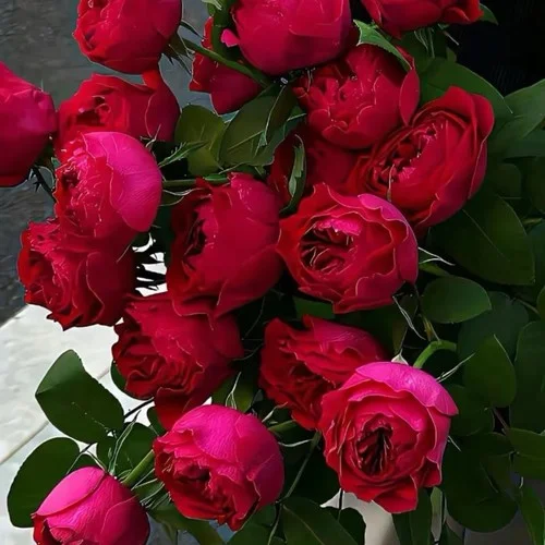 爱你十分泪七分（忍心让我爱你十分泪七分）-大头针 Official