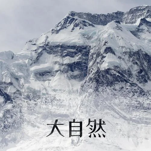 鸟叫声-舒缓的大自然的声音