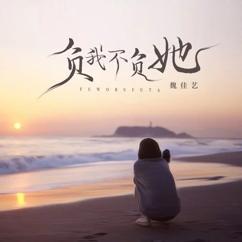 负我不负她-魏佳艺