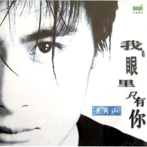 我的眼里只有你-景岗山