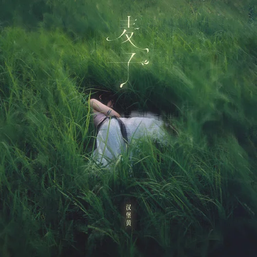 麦子 (take root)-汉堡黄