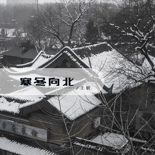 寒冬向北-王斩
