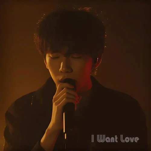 I Wish You Could Stay-NiExshadow