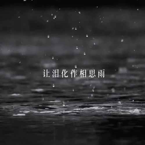 让泪化作相思雨-南和文斗