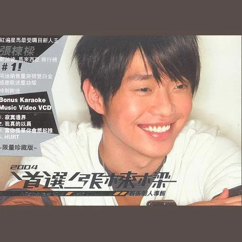 当你孤单你会想起谁-张栋梁