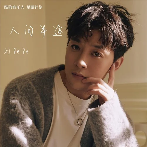 人间半途(DJ默涵版)-刘阳阳