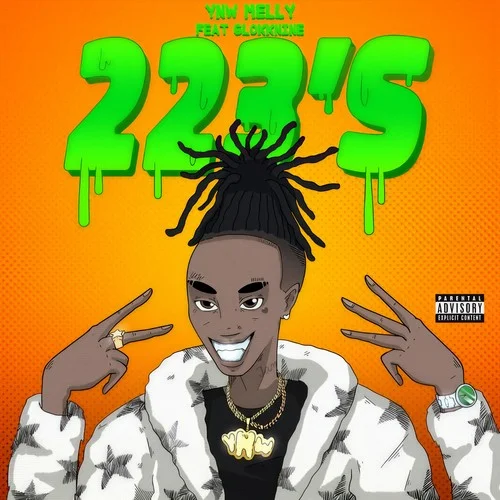 223’s (feat. 9lokknine)-YNW Melly&9lokknine