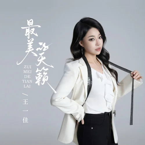 最美的天籁-王一佳