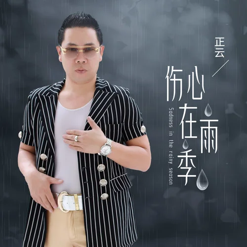 伤心在雨季-正云