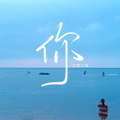 你-大双二双
