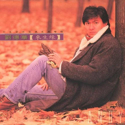 来生缘-刘德华