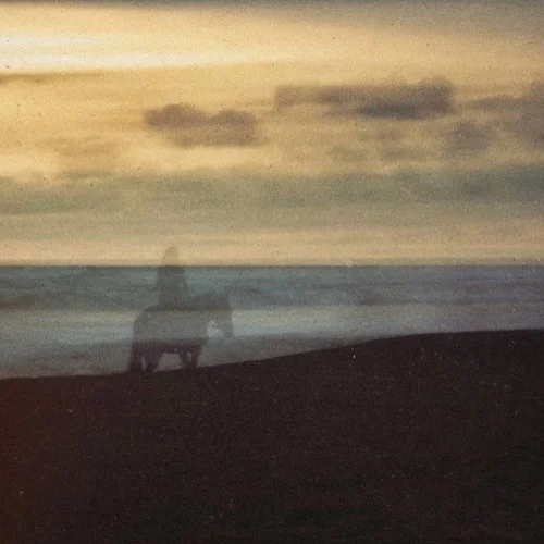 随缘（郑中基）-子辉吉他