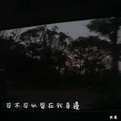 可不可以留在我的身边-以安