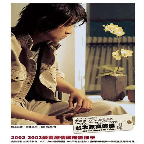 楼下那个女人-游鸿明