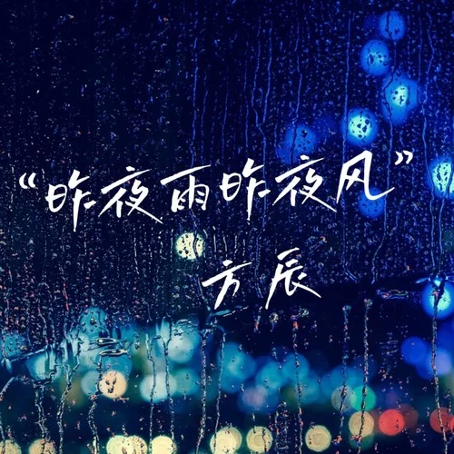 昨夜雨昨夜风 (DJ阿尼版)-方辰