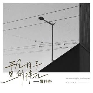 平凡日子里的挣扎-曾抖抖