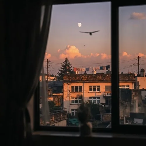 心似烟火（我看着你背影想开口）-王木木