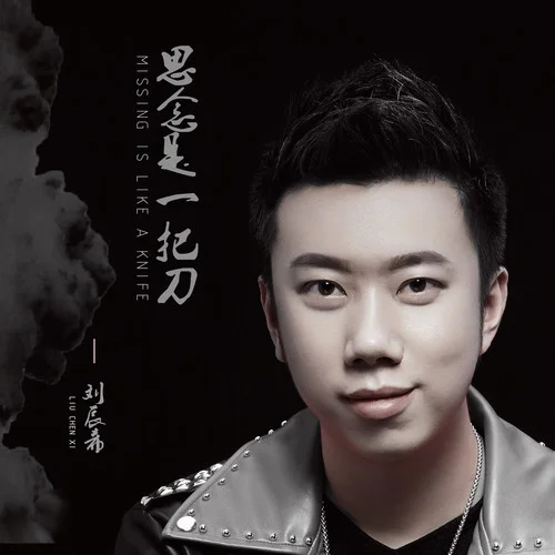 思念是一把刀-刘辰希
