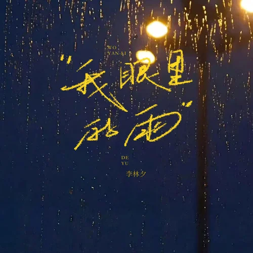 我眼里的雨-李林夕
