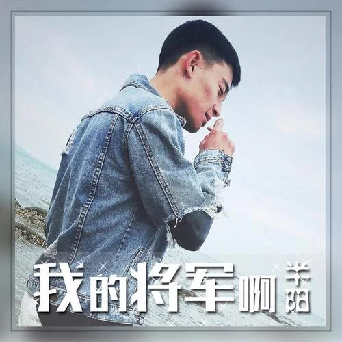 我的将军啊-半阳
