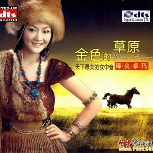 西海情歌-降央卓玛