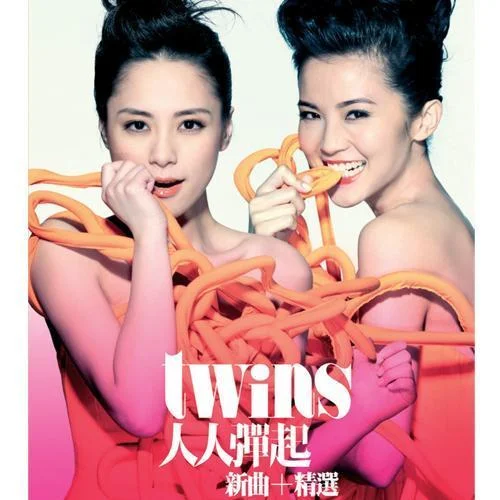 我们的纪念册-Twins