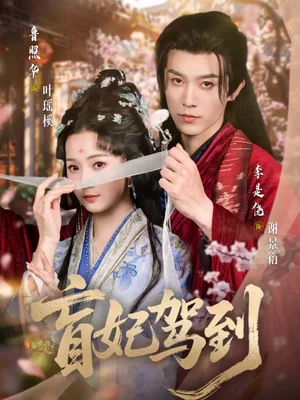 盲妃驾到（65集）鲁照华＆李是侥