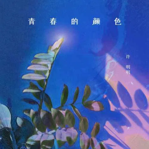 青春的颜色-许明明