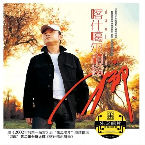 守候在凌晨两点的伤心秀吧-刀郎