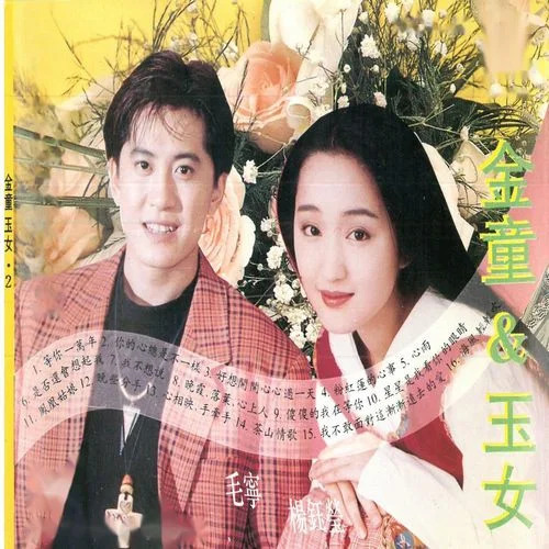 心雨-毛宁&杨钰莹